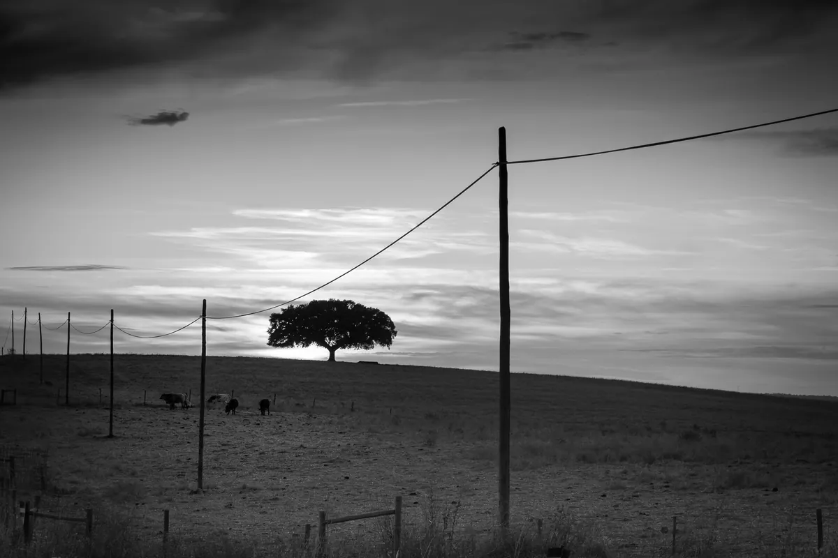 Póvoa de São Miguel