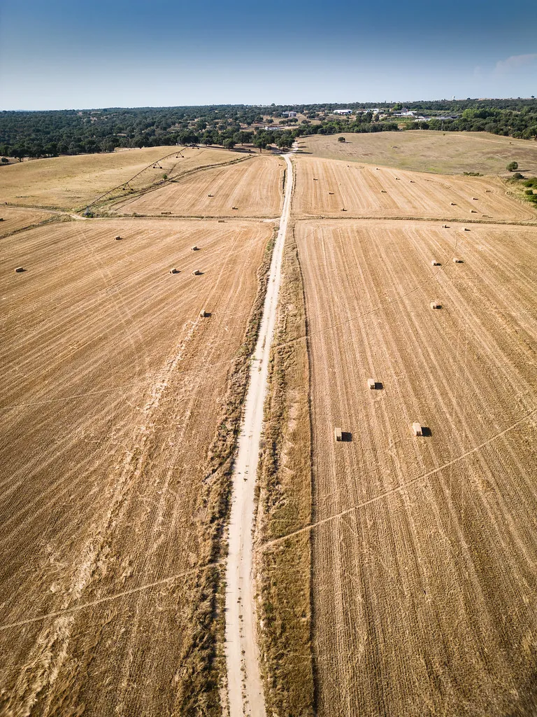 Foros de Vale de Figueira