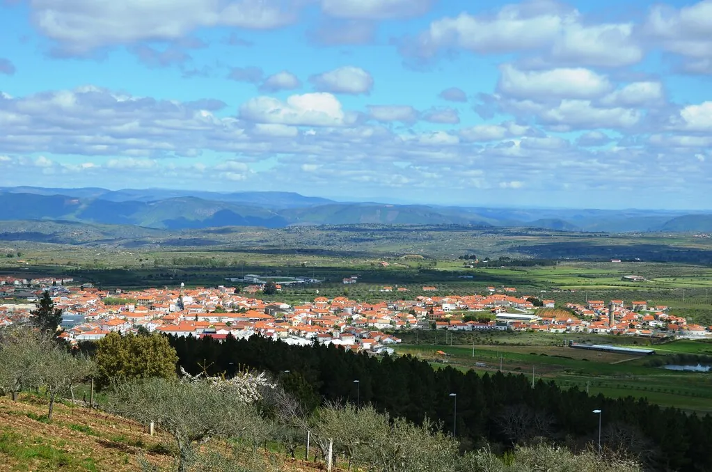 Figueira de Castelo Rodrigo