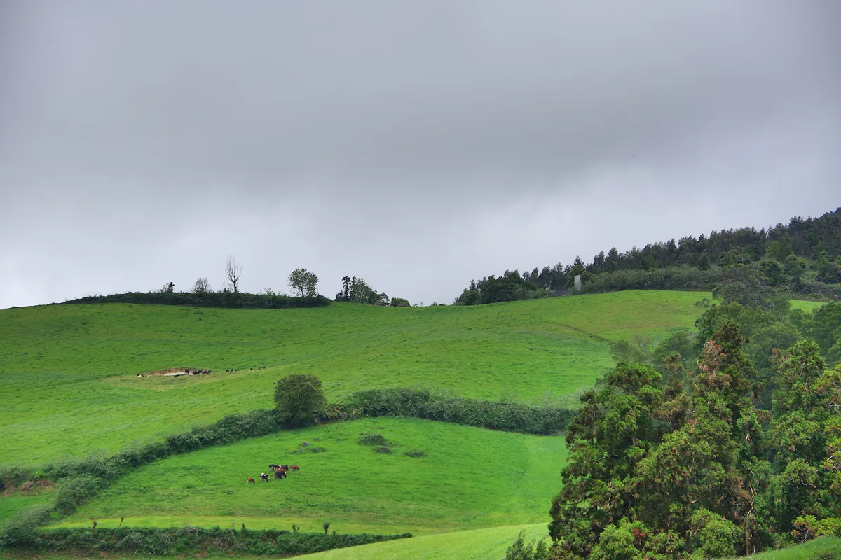 Vila Franca do Campo