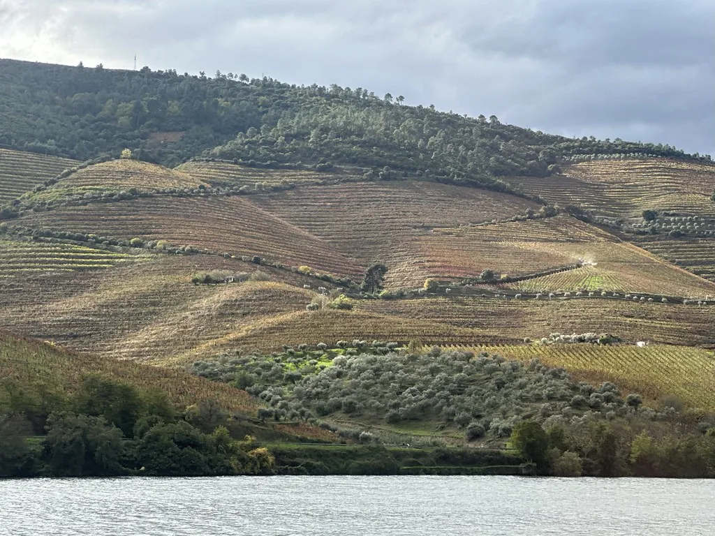Covas do Douro