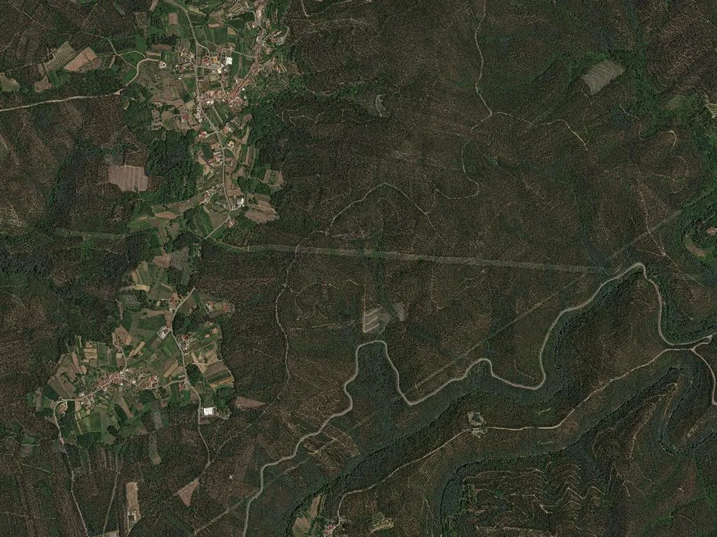 Castanheira do Vouga