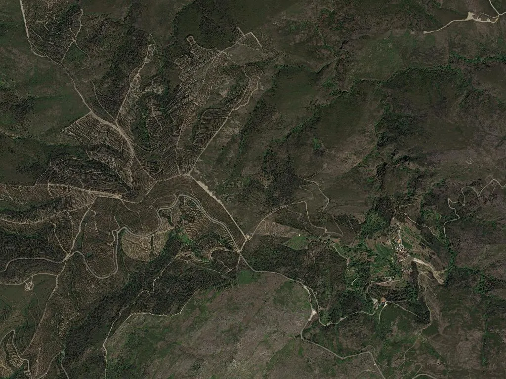 União das freguesias de Covelo de Paivó e Janarde