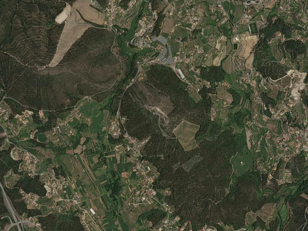 Santa Maria de Sardoura