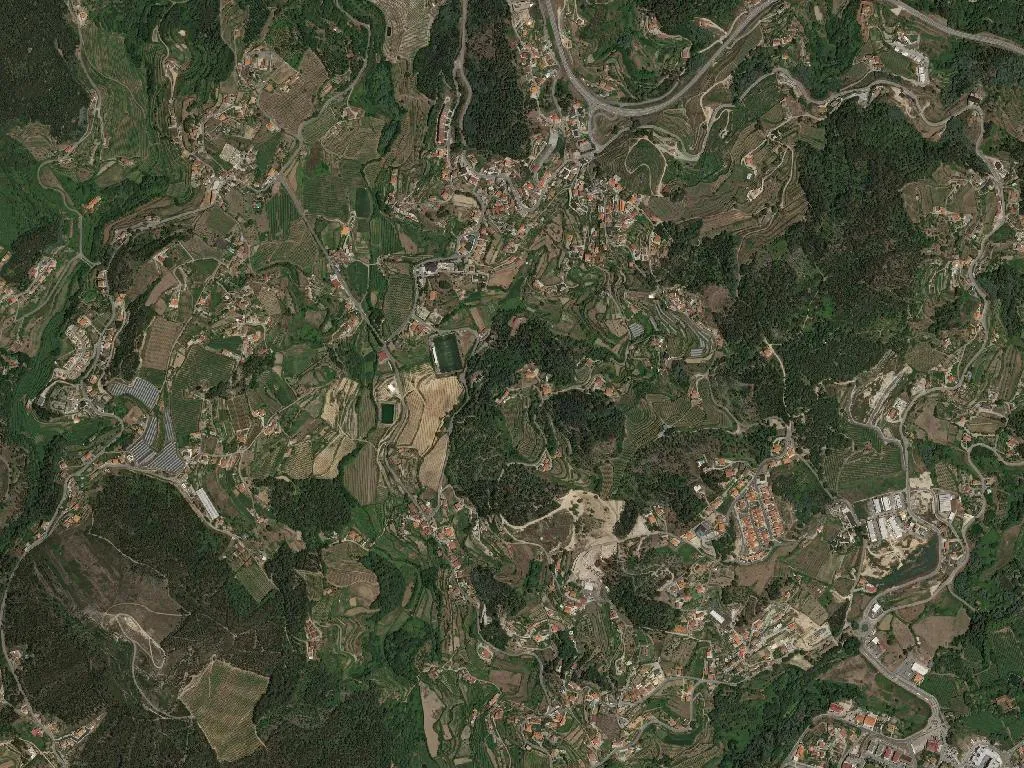 São Martinho de Sardoura