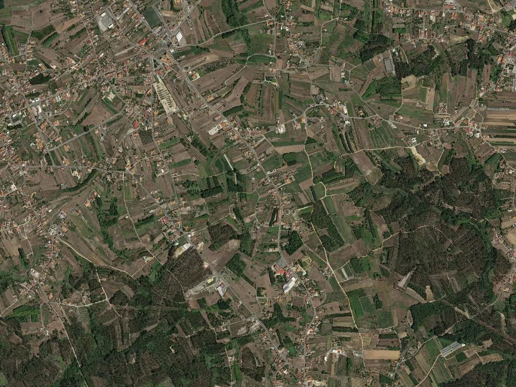 União das freguesias de Bustos, Troviscal e Mamarrosa