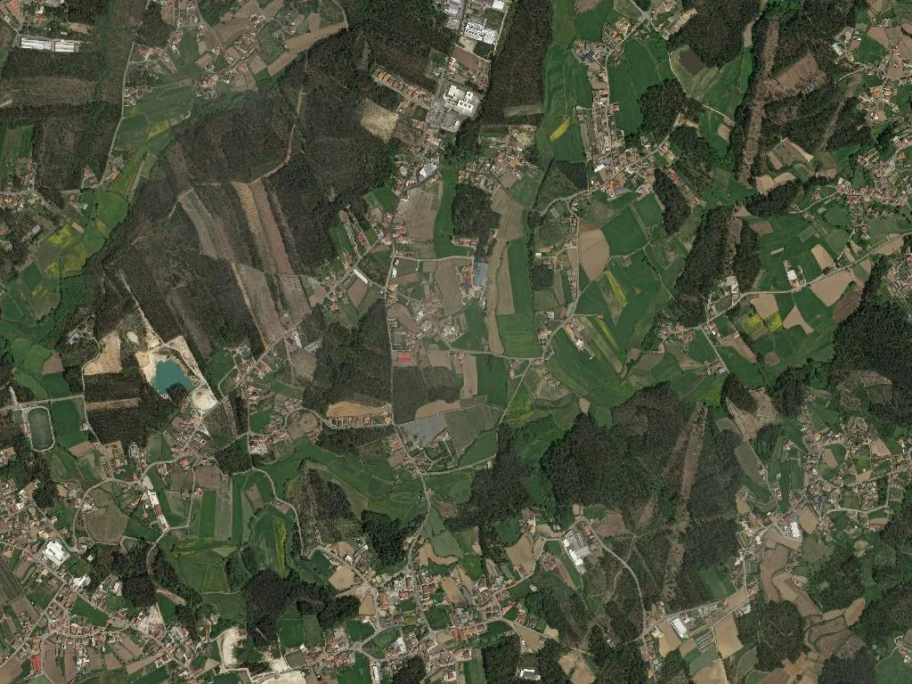 São Vicente de Pereira Jusã