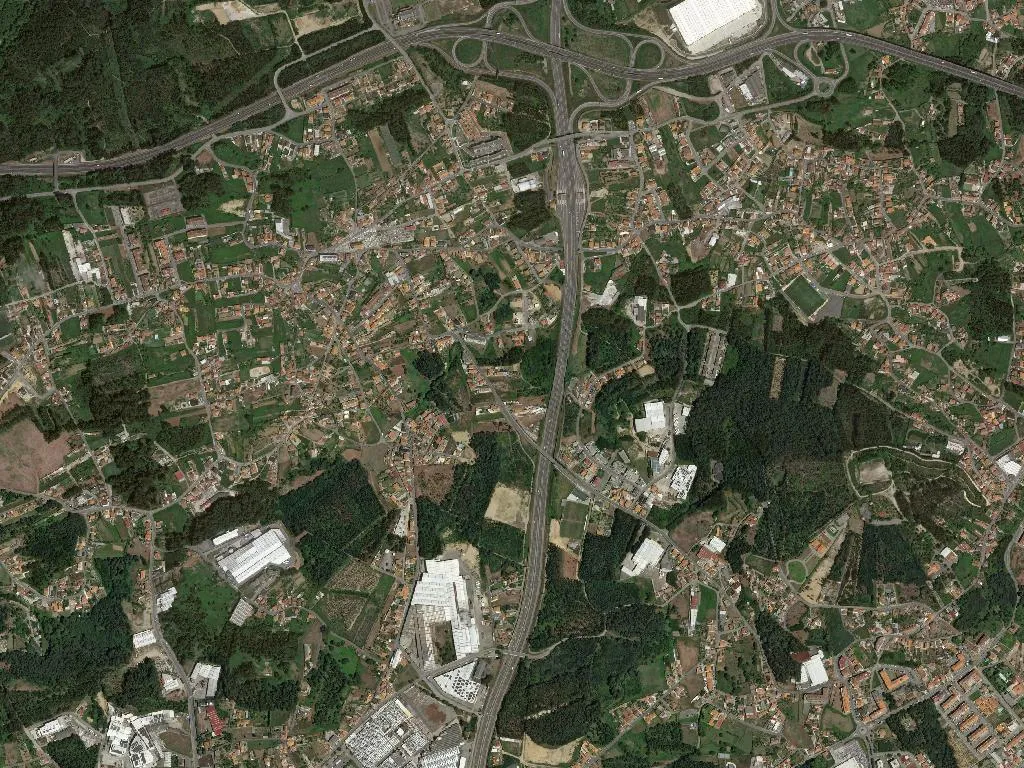 Nogueira da Regedoura