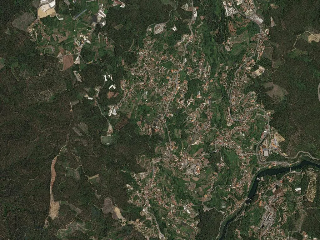 Pessegueiro do Vouga