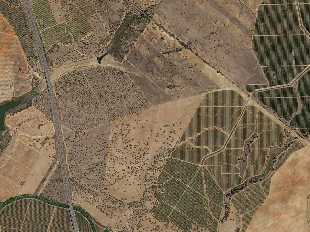 São João de Negrilhos