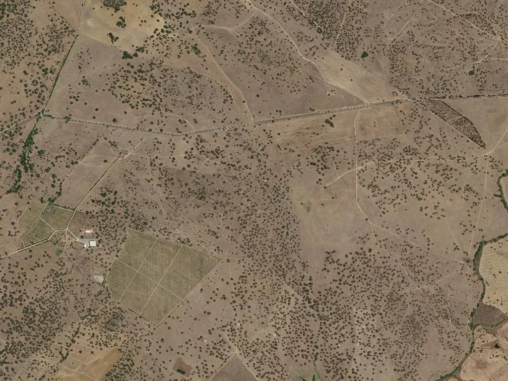 Vila Nova da Baronia