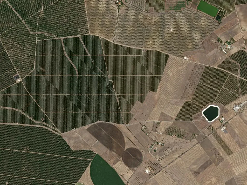 União das freguesias de Beja (Santiago Maior e São João Baptista)