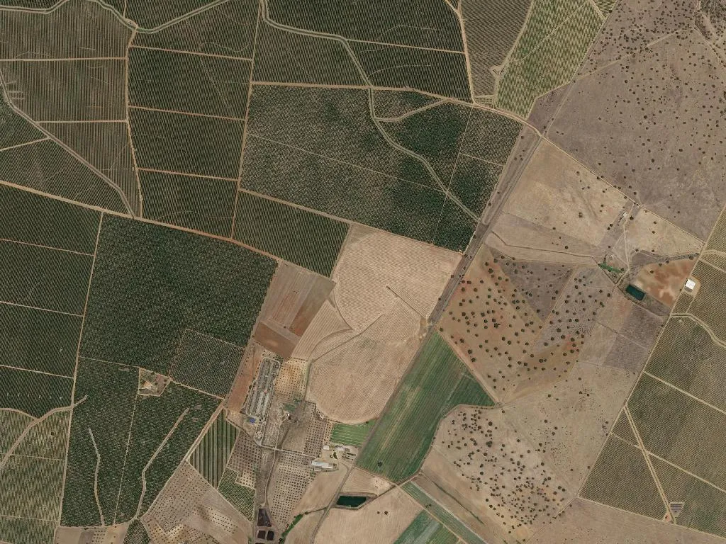 Ferreira do Alentejo