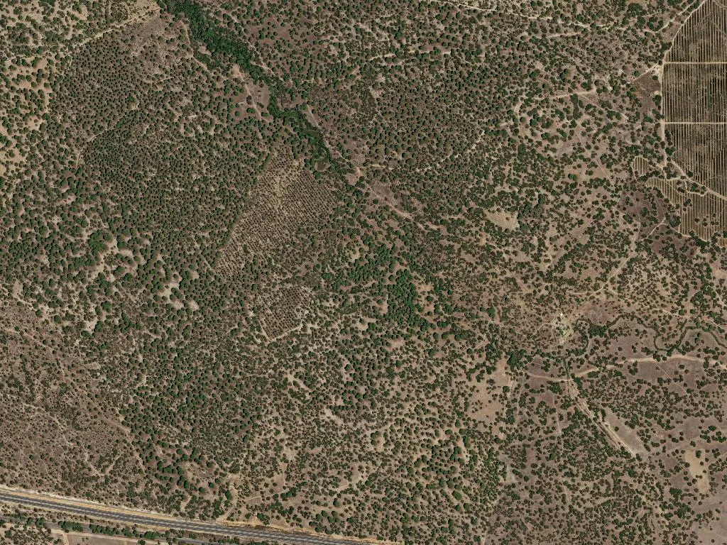 Figueira dos Cavaleiros