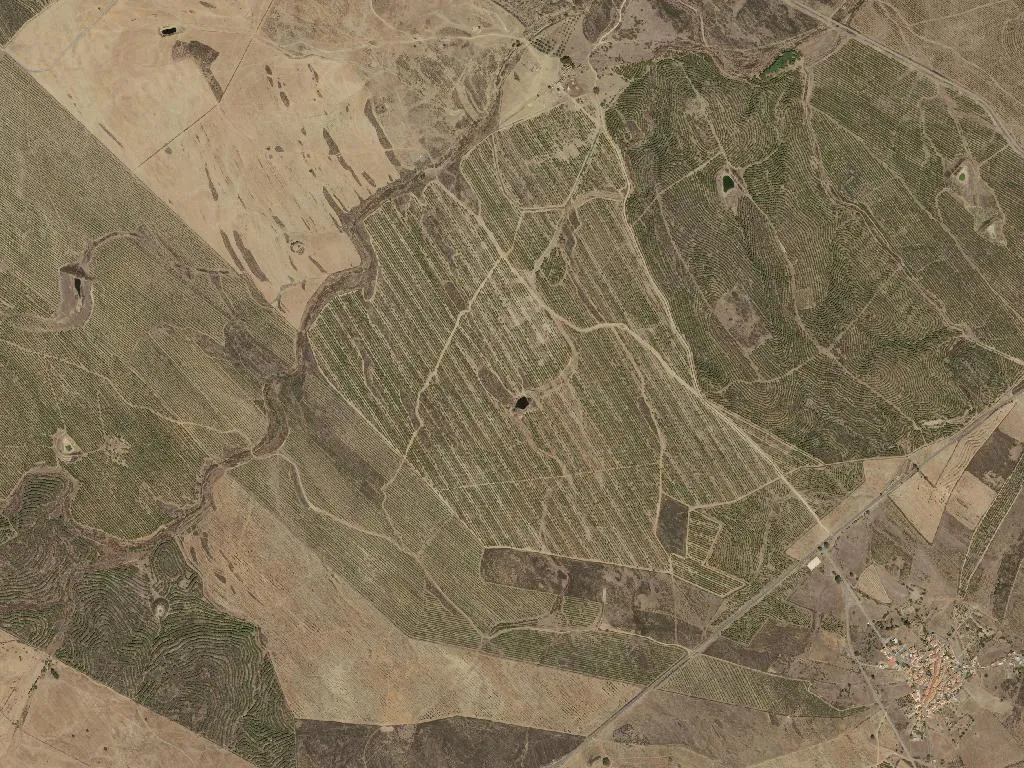 União das freguesias de São Miguel do Pinheiro, São Pedro de Solis e São Sebastião dos Carros