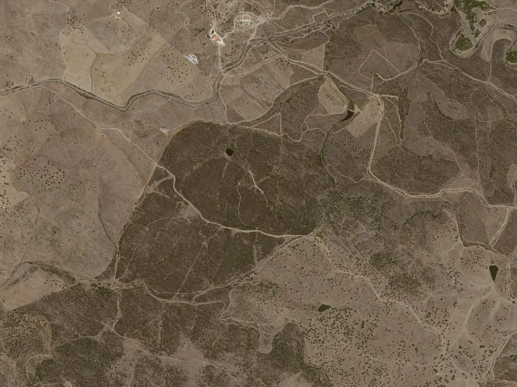 Santo Aleixo da Restauração