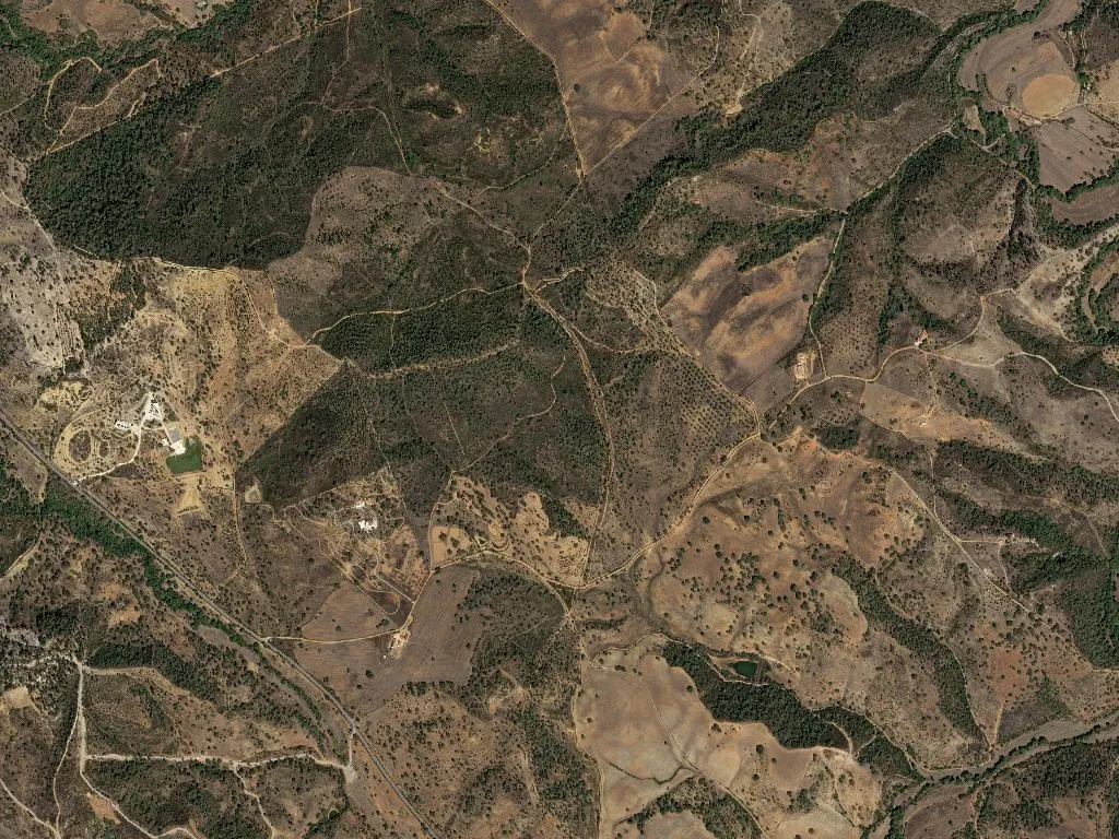 Boavista dos Pinheiros