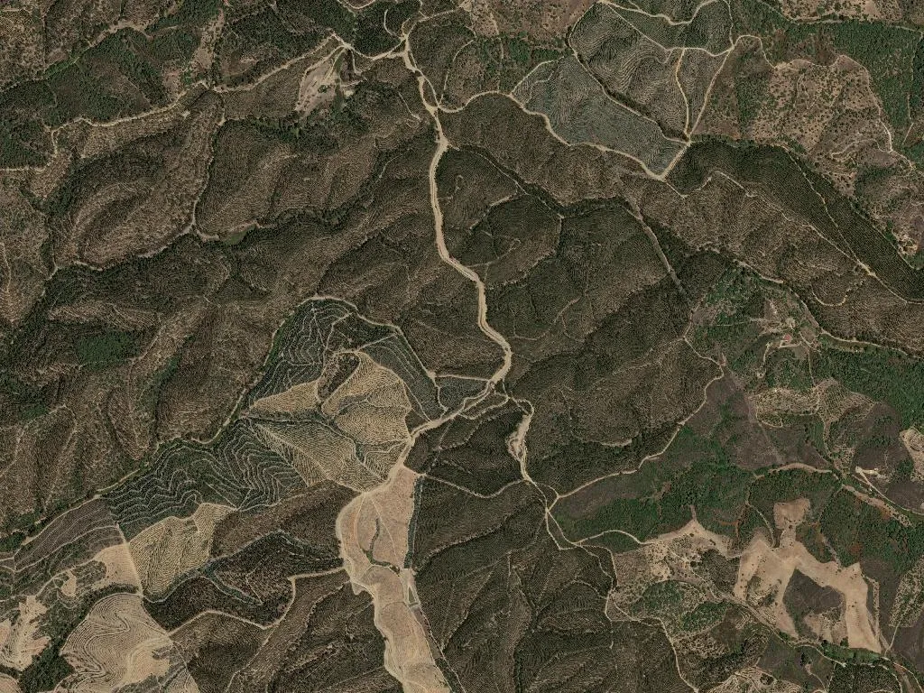 São Martinho das Amoreiras