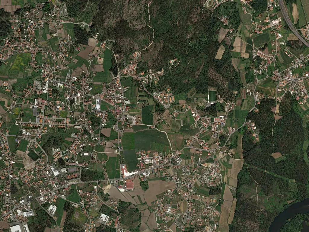 Galegos (São Martinho)