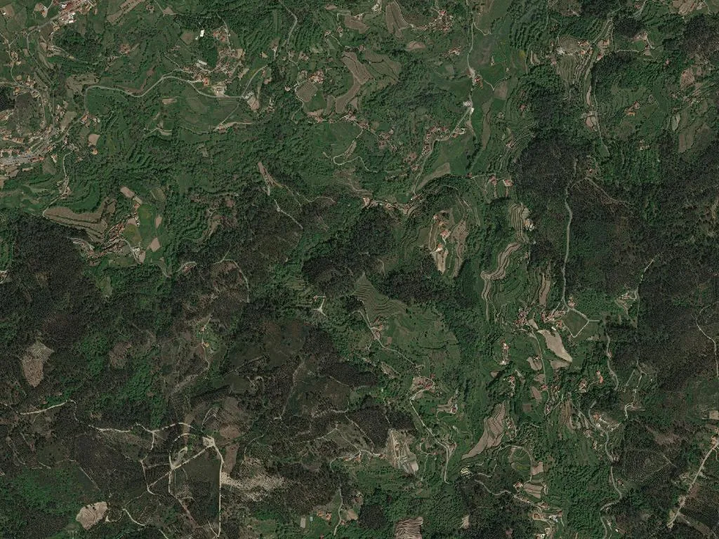 União das freguesias de Carvalho e Basto (Santa Tecla)