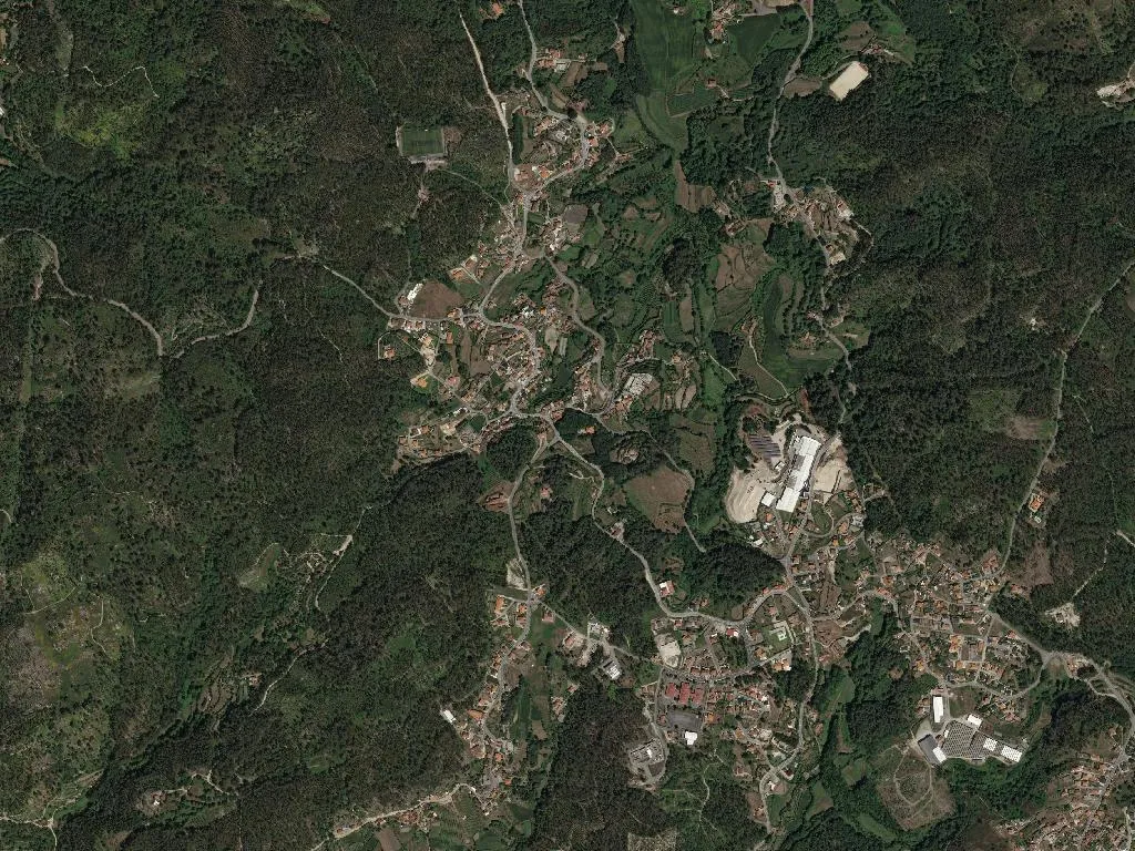 Silvares (São Martinho)