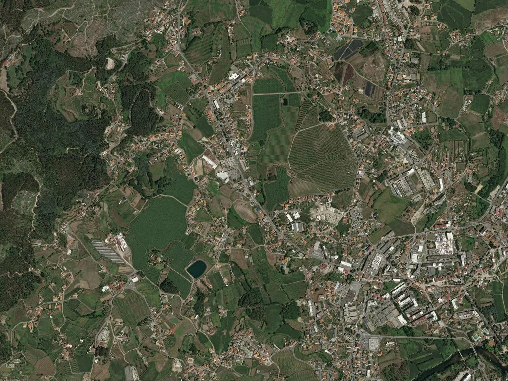 Sande (São Martinho)