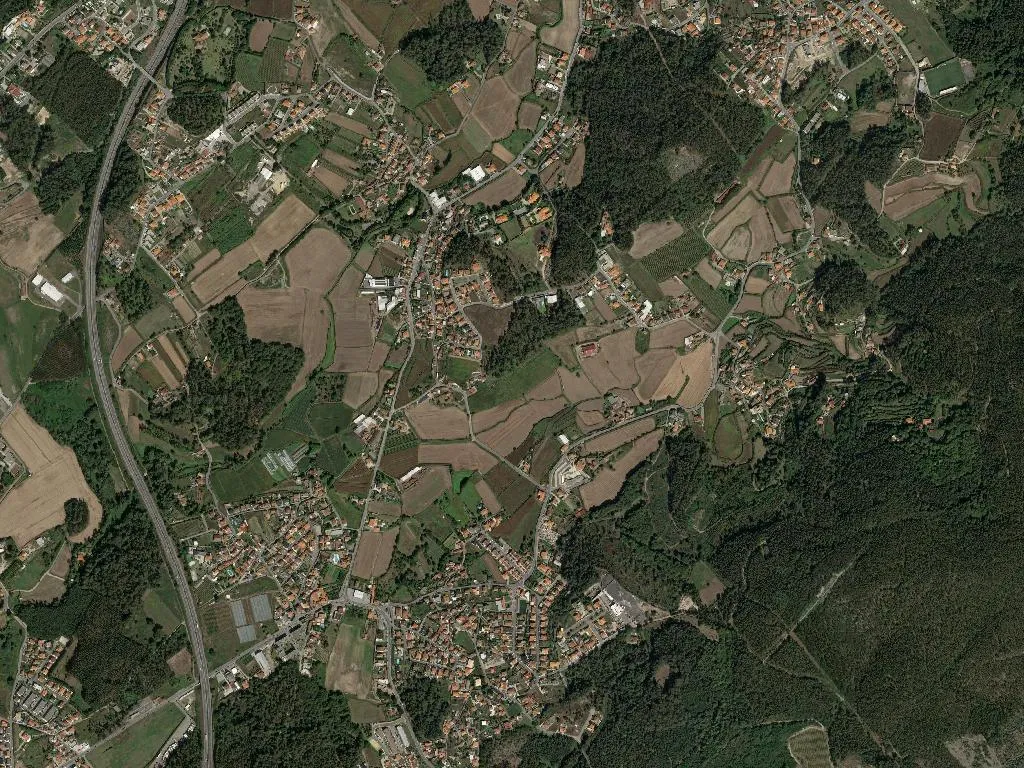 Vale (São Martinho)