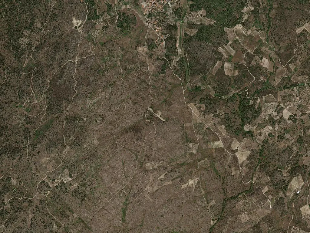 União das freguesias de Lavandeira, Beira Grande e Selores