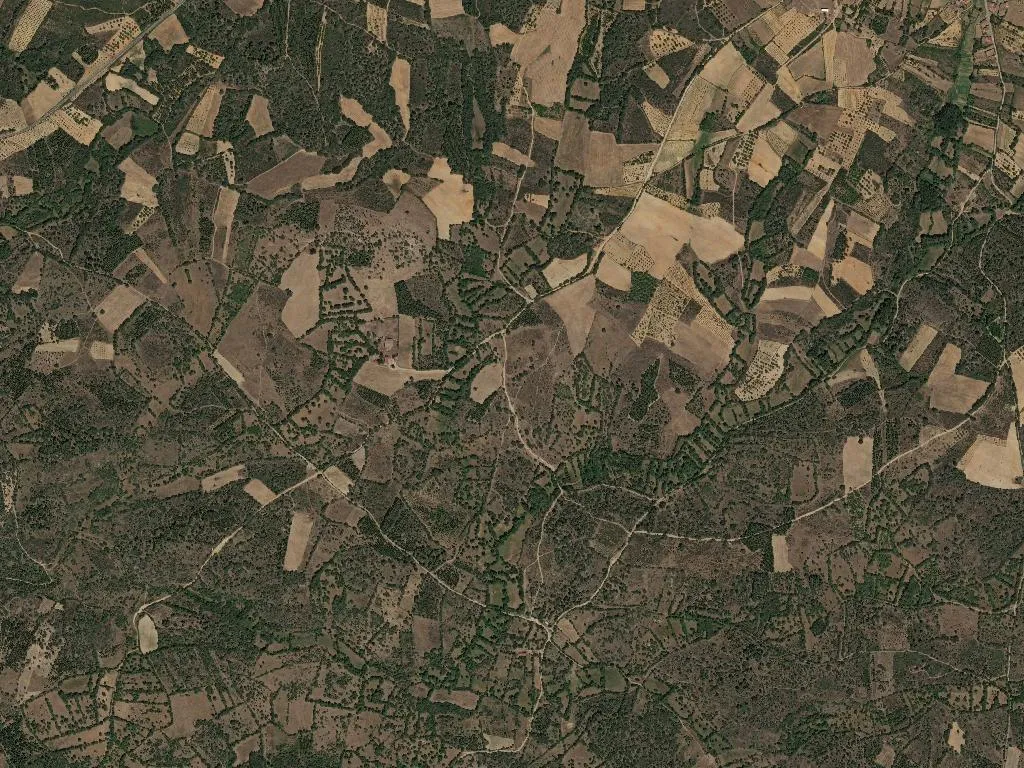 União das freguesias de Constantim e Cicouro