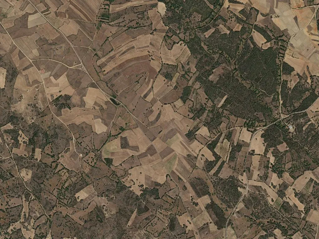 União das freguesias de Ifanes e Paradela