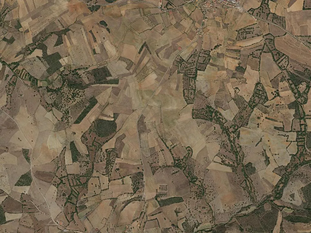 União das freguesias de Silva e Águas Vivas