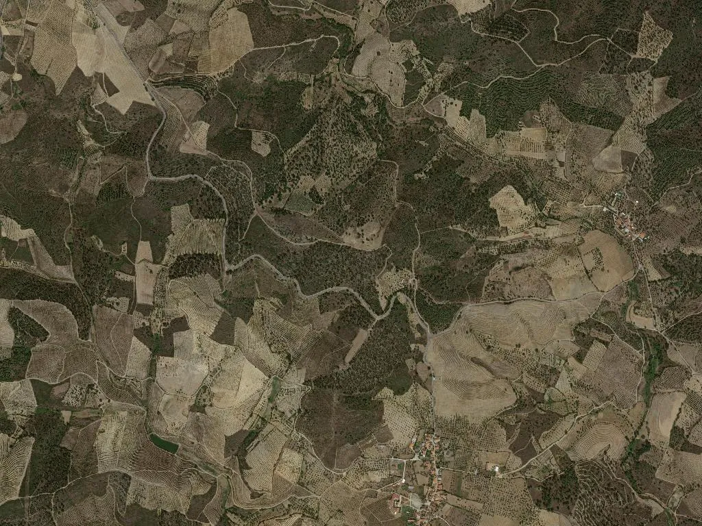 União das freguesias de Avidagos, Navalho e Pereira