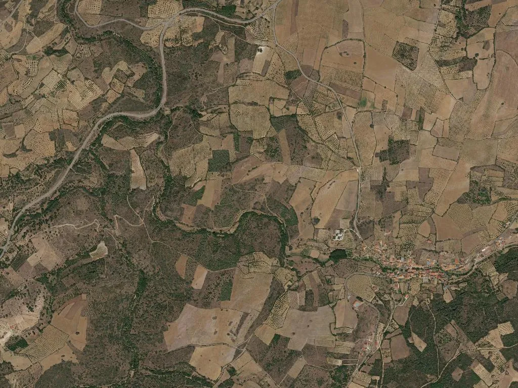 São Martinho do Peso