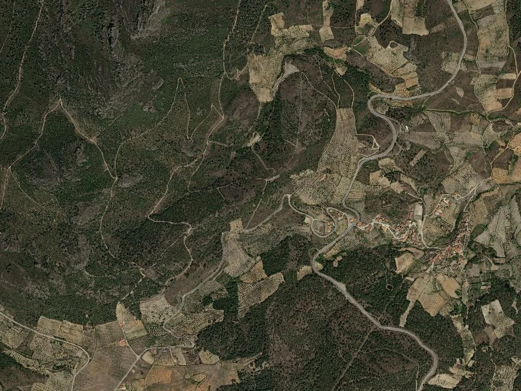 União das freguesias de Vilas Boas e Vilarinho das Azenhas