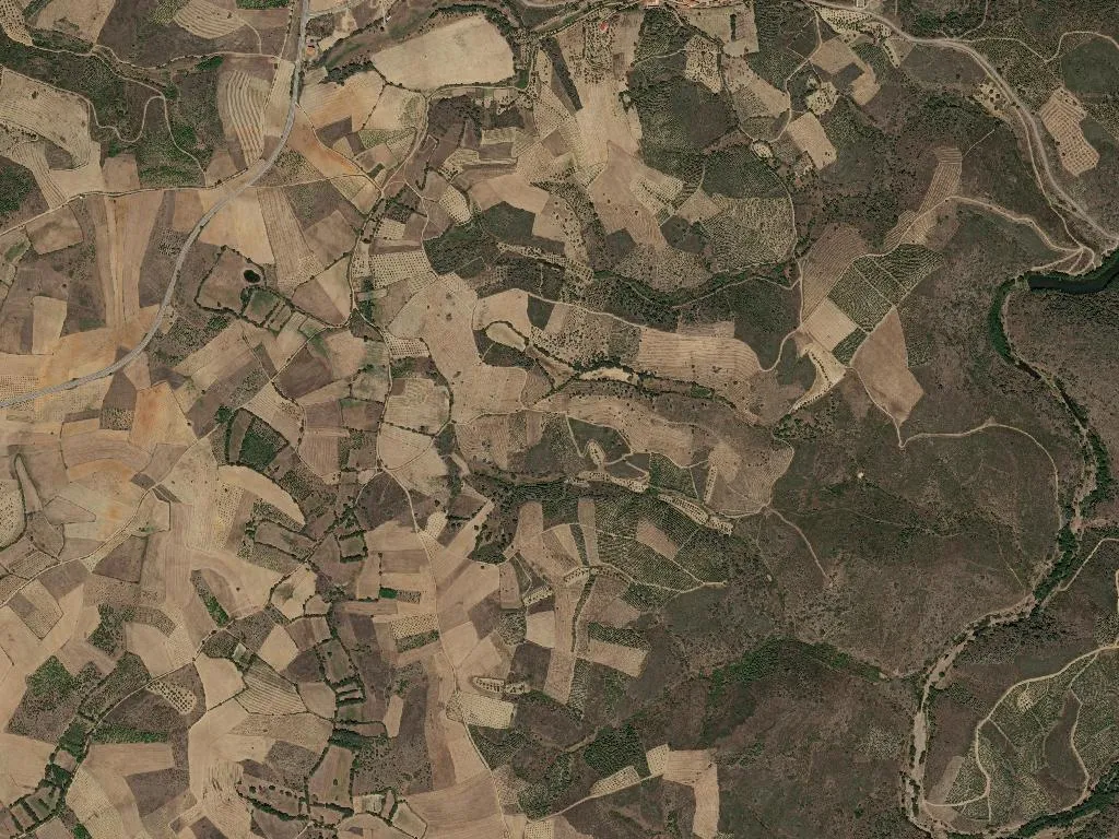 União das freguesias de Algoso, Campo de Víboras e Uva