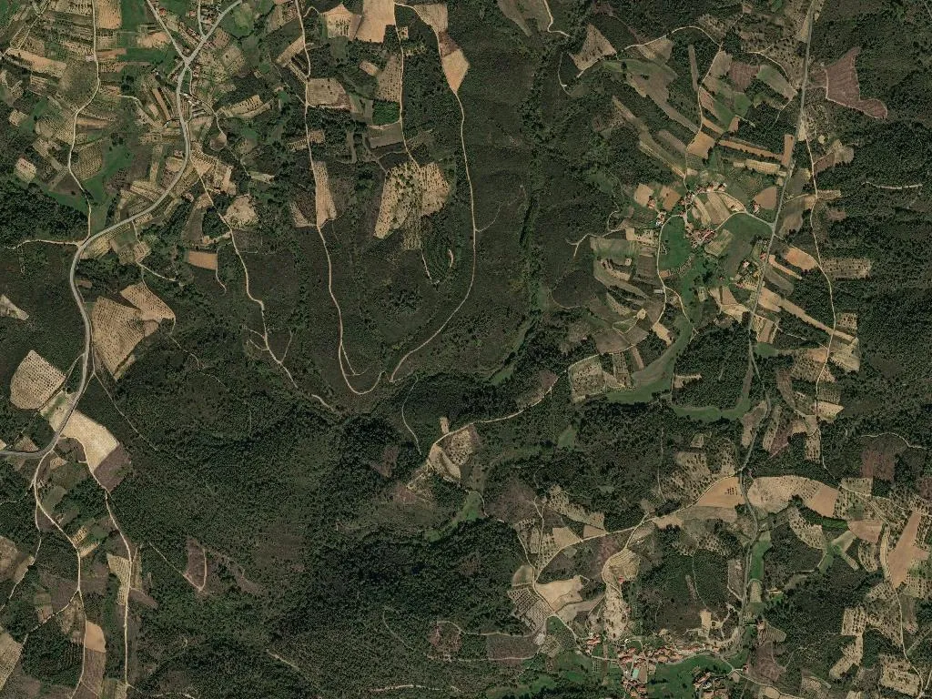 União das freguesias de Curopos e Vale de Janeiro