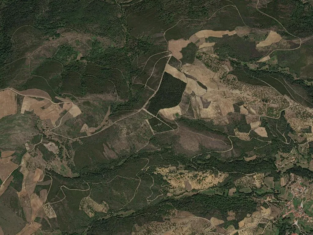 União das freguesias de Travanca e Santa Cruz