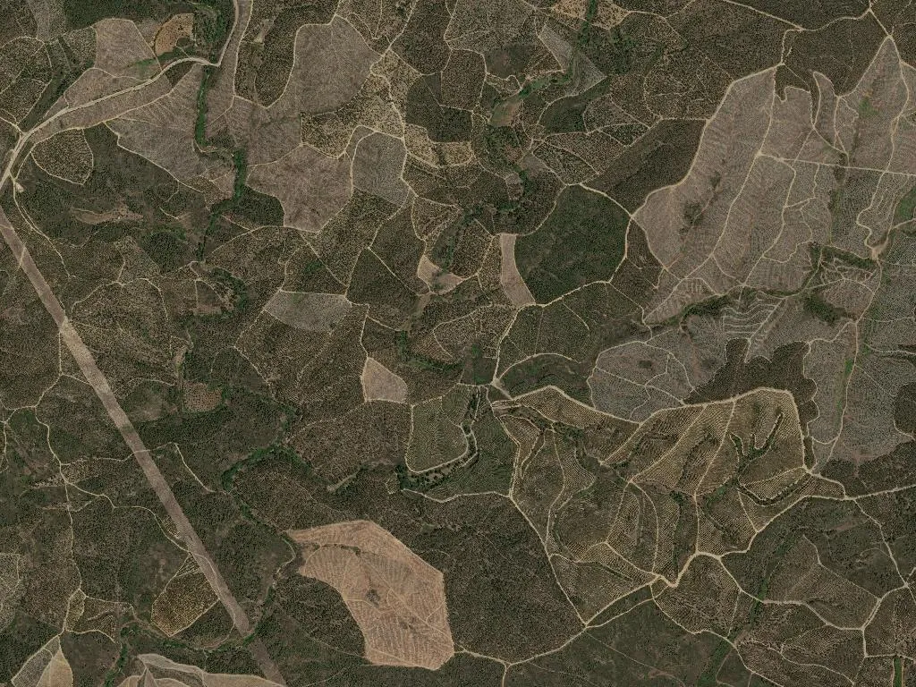 São Vicente da Beira