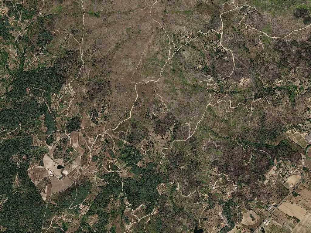 União das freguesias de Teixoso e Sarzedo