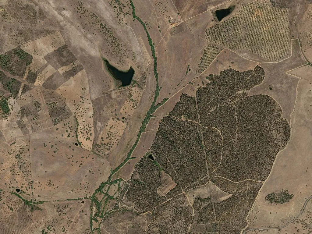 União das freguesias de Monfortinho e Salvaterra do Extremo