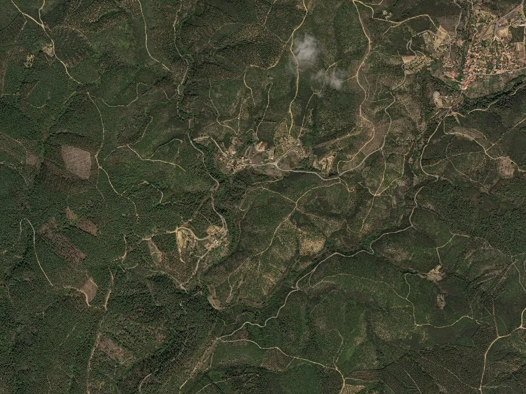 Sarnadas de São Simão