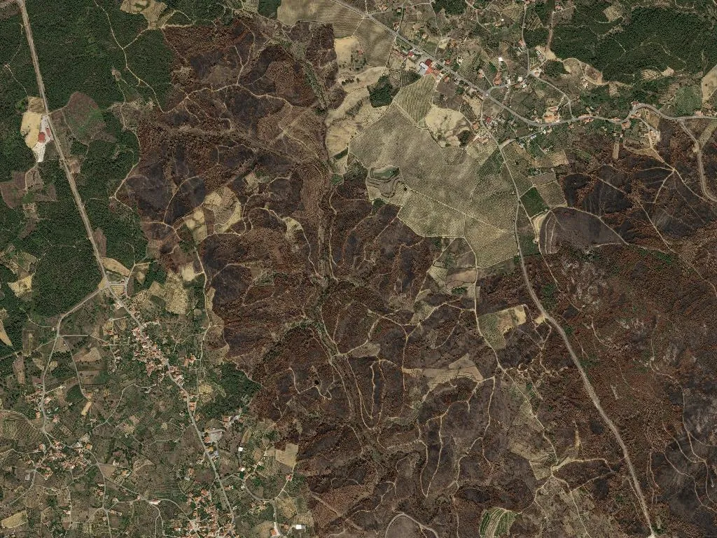 União das freguesias de Sobreira Formosa e Alvito da Beira