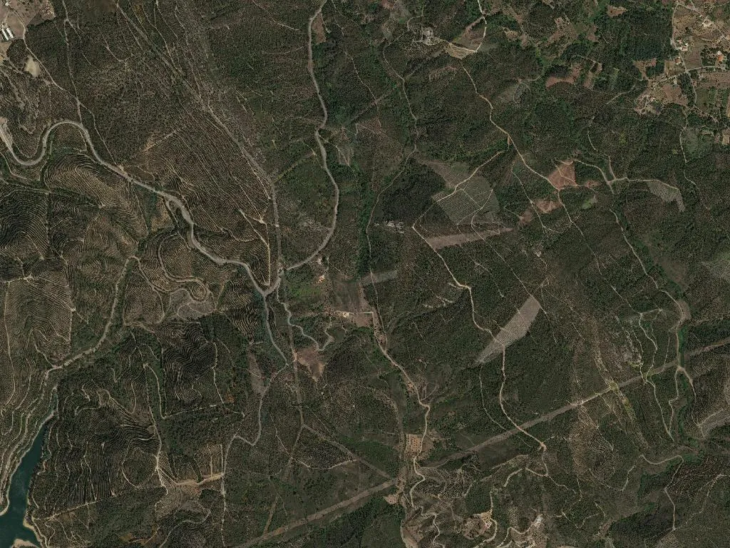 União das freguesias de Cernache do Bonjardim, Nesperal e Palhais