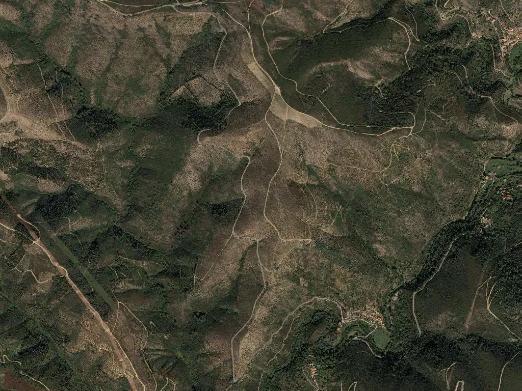 União das freguesias de Cepos e Teixeira