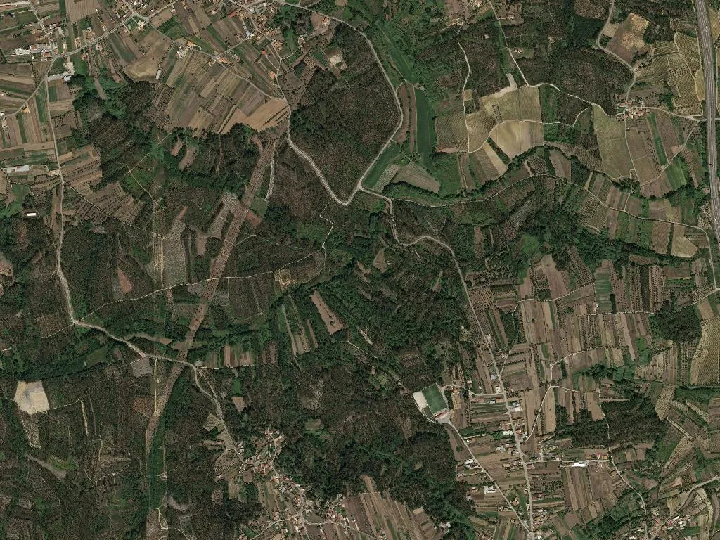 União das freguesias de Sepins e Bolho