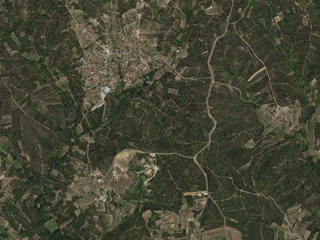 União das freguesias de São Martinho de Árvore e Lamarosa