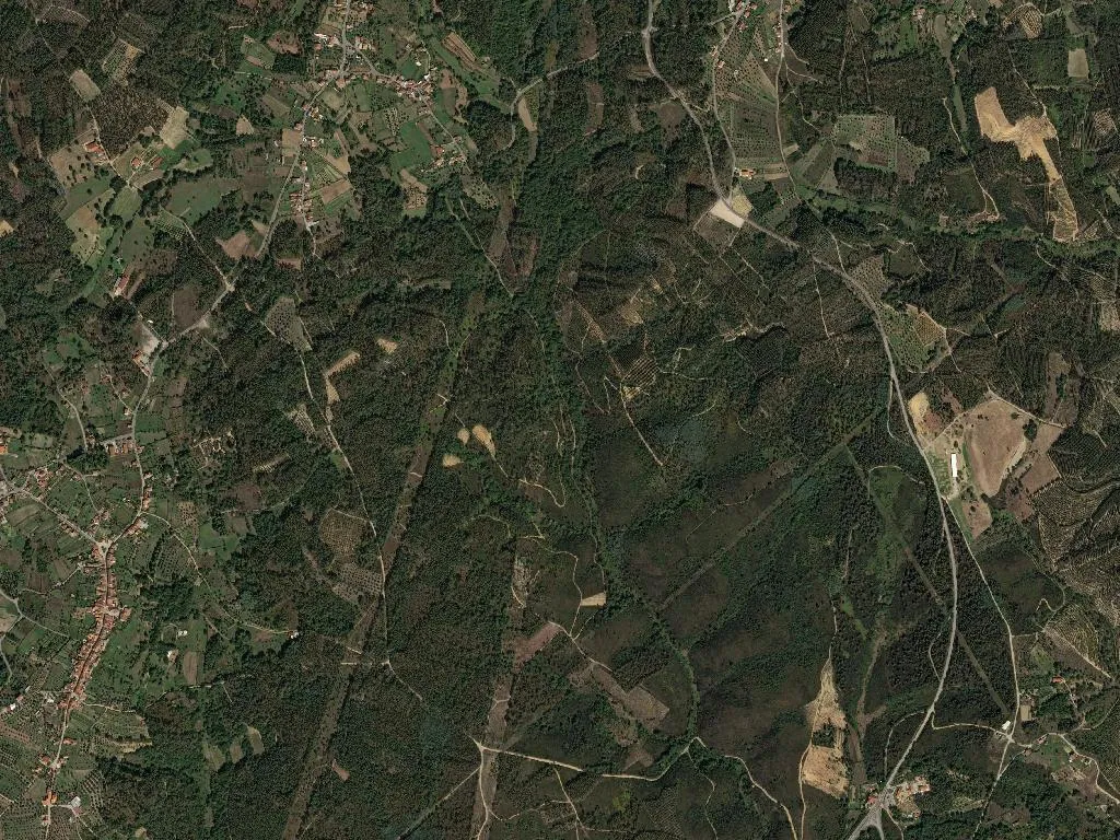 União das freguesias de Pinheiro de Coja e Meda de Mouros