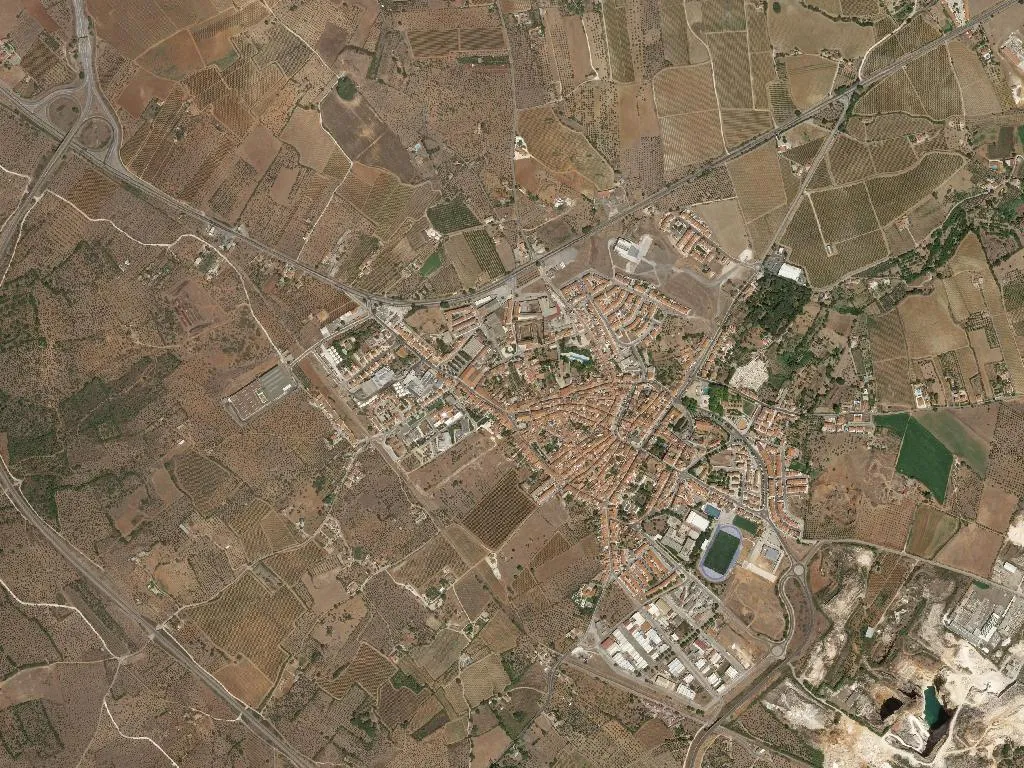 Borba (São Bartolomeu)