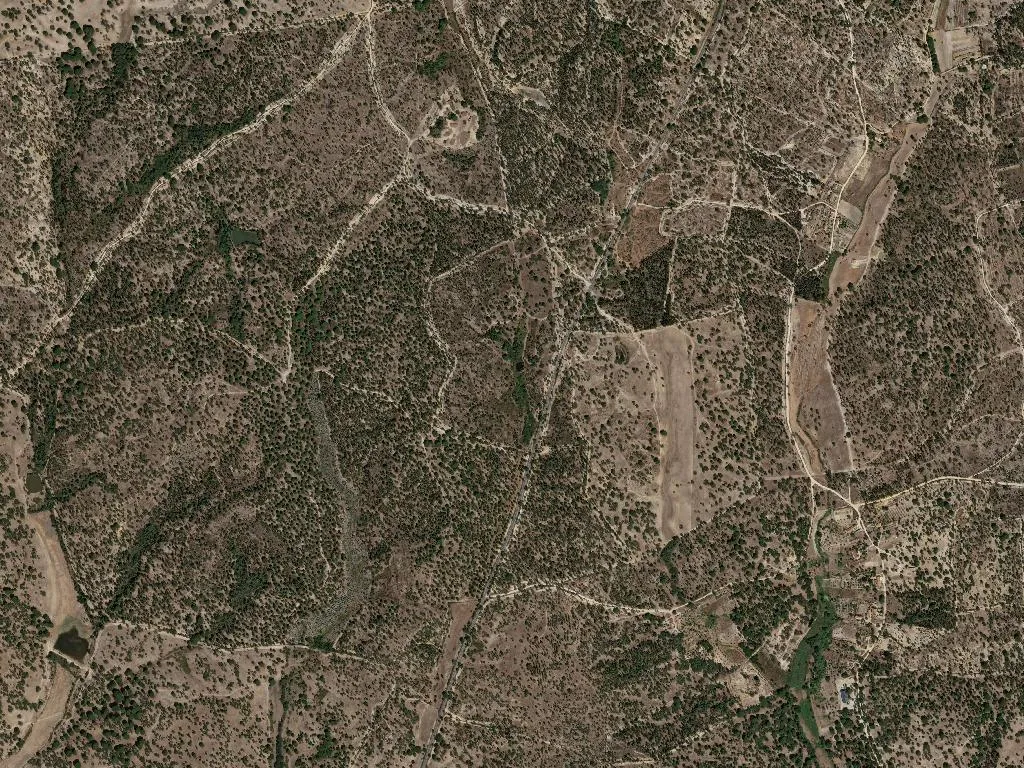 Cortiçadas de Lavre