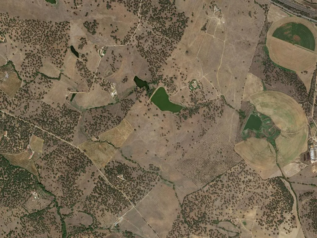 Nossa Senhora da Vila